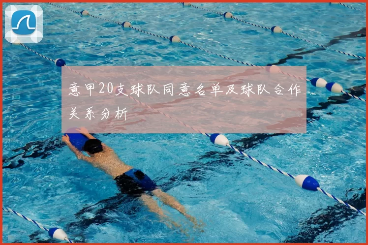 意甲20支球队同意名单及球队合作关系分析