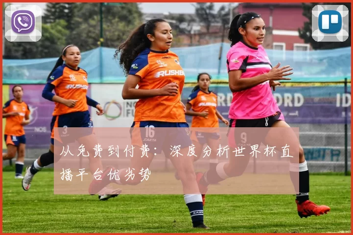 从免费到付费:深度分析世界杯直播平台优劣势