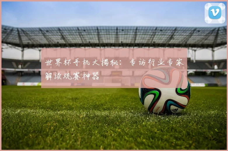 世界杯手机大揭秘:专访行业专家解读观赛神器