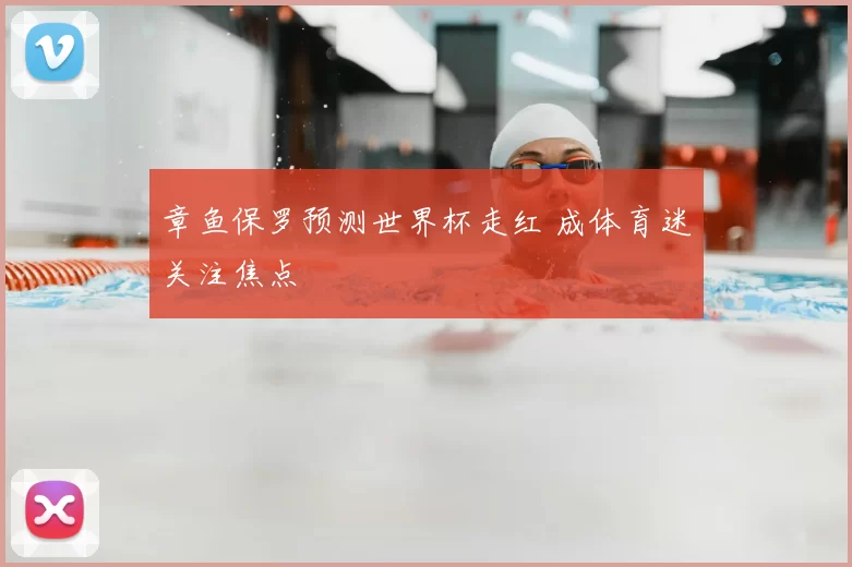章鱼保罗预测世界杯走红 成体育迷关注焦点