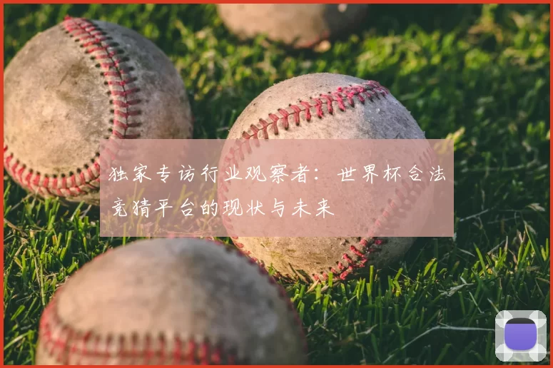 独家专访行业观察者:世界杯合法竞猜平台的现状与未来
