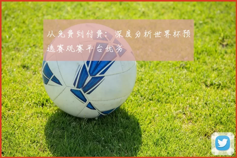 从免费到付费:深度分析世界杯预选赛观赛平台优劣