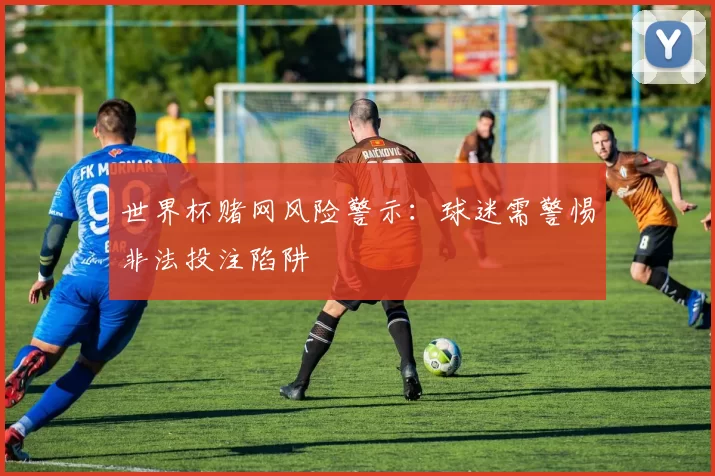 世界杯赌网风险警示:球迷需警惕非法投注陷阱