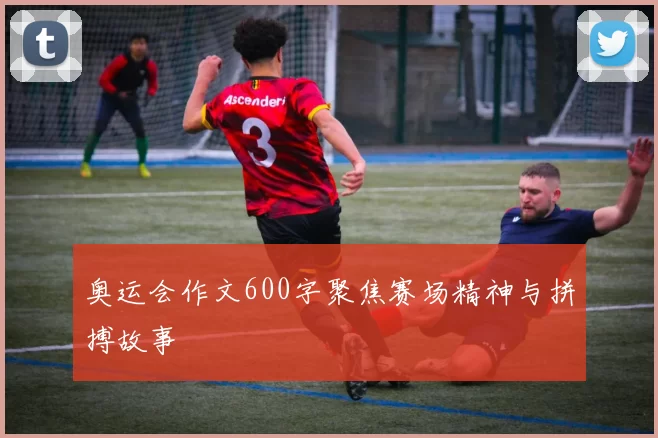 奥运会作文600字聚焦赛场精神与拼搏故事