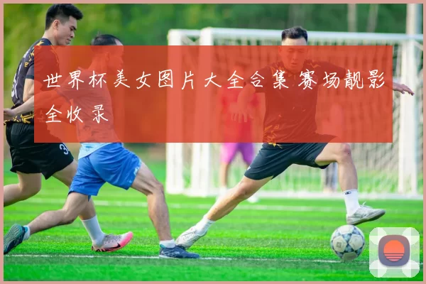 世界杯美女图片大全合集 赛场靓影全收录