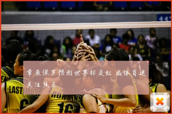 章鱼保罗预测世界杯走红 成体育迷关注焦点