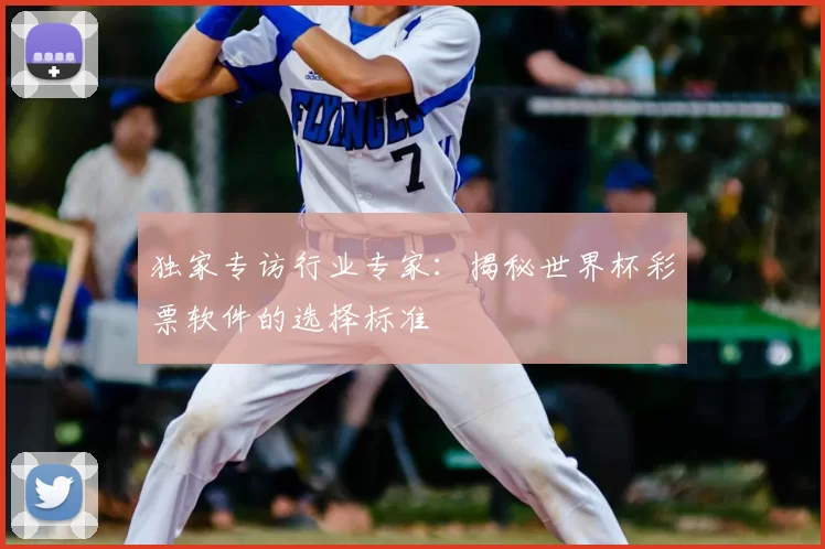独家专访行业专家:揭秘世界杯彩票软件的选择标准