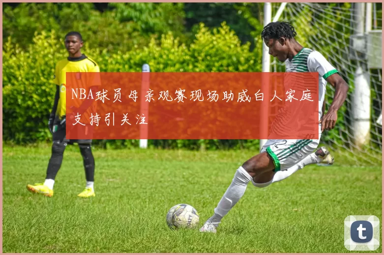 NBA球员母亲观赛现场助威白人家庭支持引关注