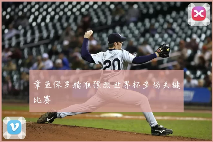 章鱼保罗精准预测世界杯多场关键比赛