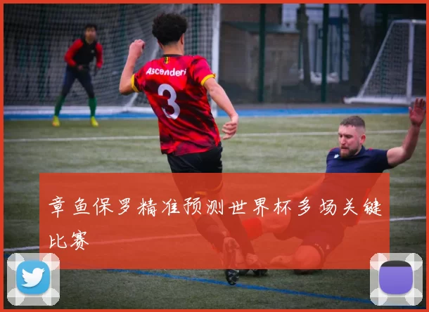 章鱼保罗精准预测世界杯多场关键比赛