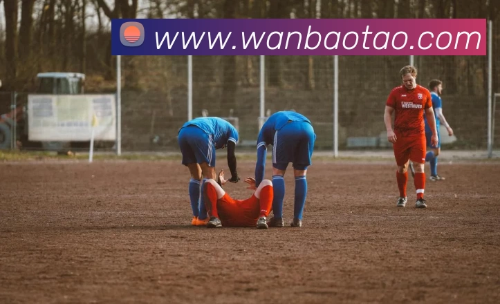 华体会体育平台生态图